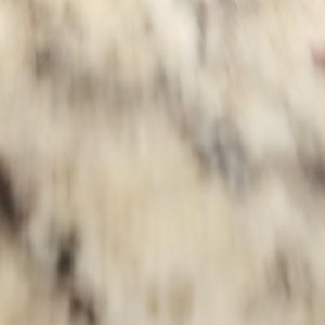 Meet your Posher, Sandy